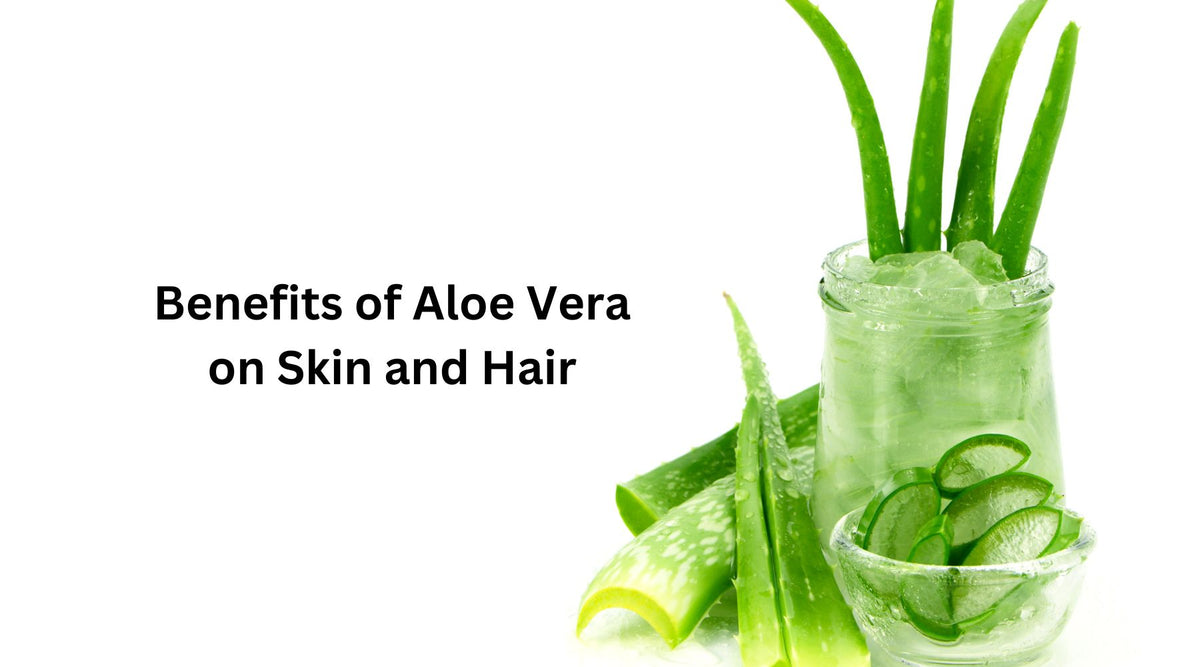 Benefits of Aloe Vera on Skin and Hair HERBCIENCE